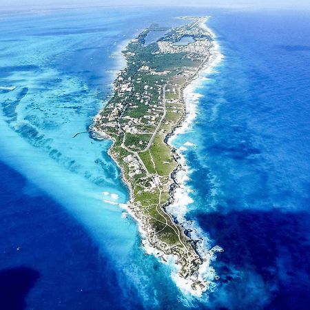 Depas Flamboyan Centro De Cancun D1 Zewnętrze zdjęcie